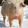 2010 Calendar Contest Photos : 
