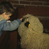 Museum_Sheep : 